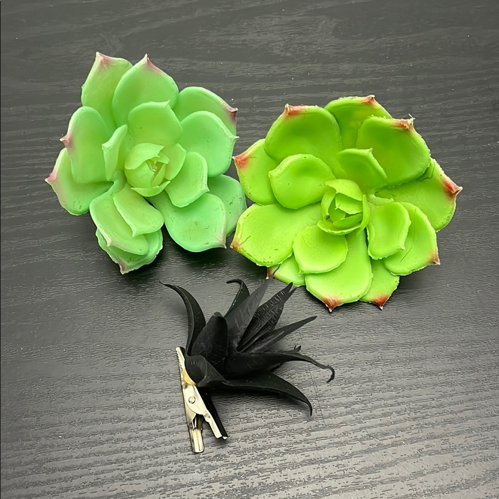 Green and Black Succulent Clips
